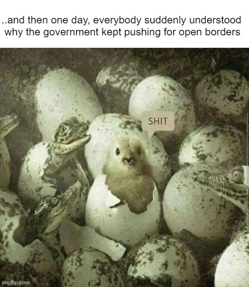 Is there such a thing as TOO MUCH "strength?" | ..and then one day, everybody suddenly understood
 why the government kept pushing for open borders | made w/ Imgflip meme maker