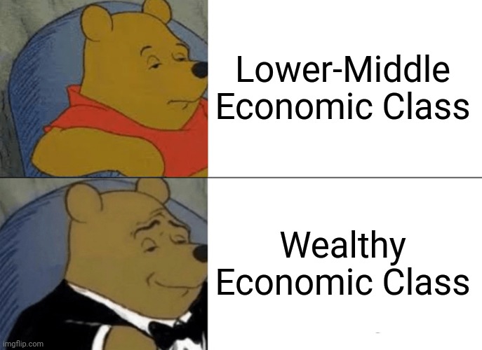 Tuxedo Winnie The Pooh MEME | Lower-Middle Economic Class; Wealthy Economic Class | image tagged in memes,tuxedo winnie the pooh,so true,reality,economy,relatable | made w/ Imgflip meme maker