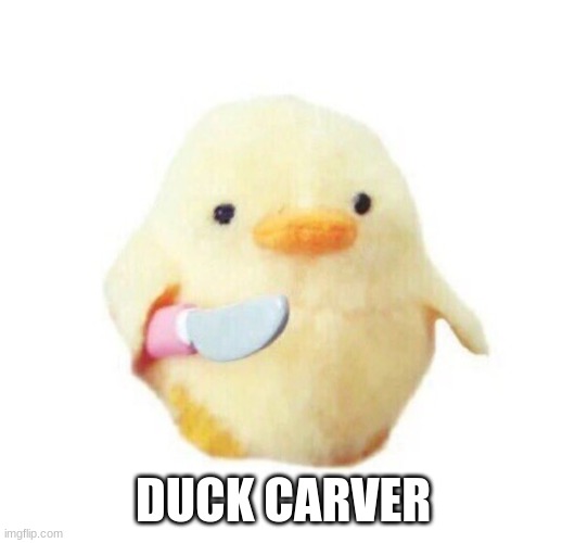 Duck with knife | DUCK CARVER | image tagged in duck with knife | made w/ Imgflip meme maker