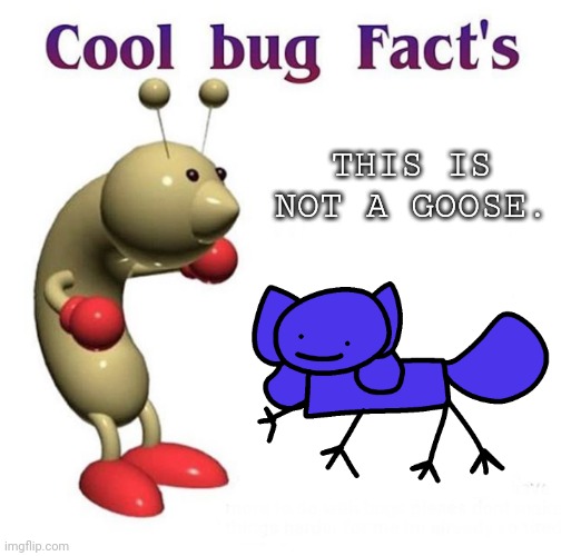 Cool Bug Facts Api | THIS IS NOT A GOOSE. | image tagged in cool bug facts api | made w/ Imgflip meme maker