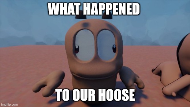 What happened to our hoose | WHAT HAPPENED; TO OUR HOOSE | image tagged in funny meme | made w/ Imgflip meme maker