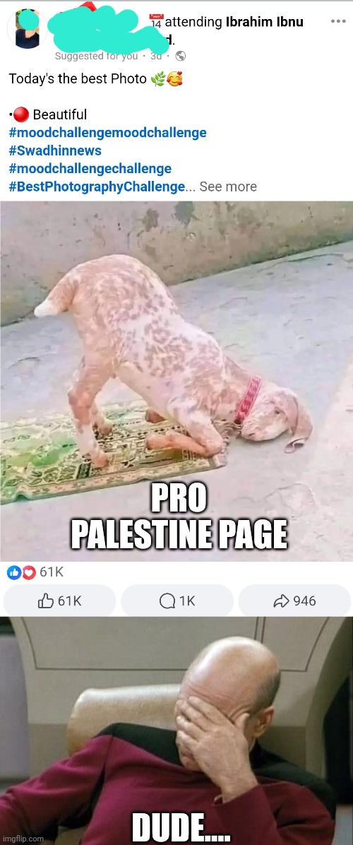 Good grief. Do they even realize? | PRO PALESTINE PAGE; DUDE.... | image tagged in memes,captain picard facepalm,palestine,muslims,islam,goats | made w/ Imgflip meme maker
