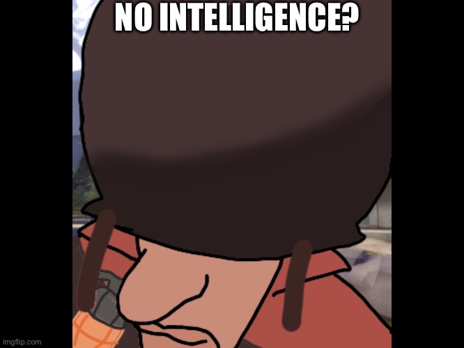 GOD BLESS AMERICA | NO INTELLIGENCE? | image tagged in tf2 | made w/ Imgflip meme maker