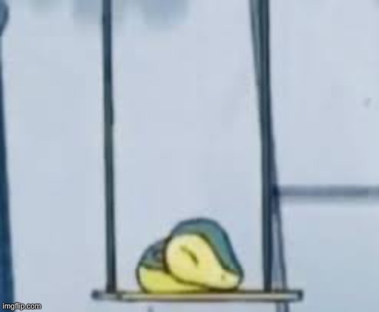 Cyndaquill on the swing | image tagged in cyndaquill on the swing | made w/ Imgflip meme maker
