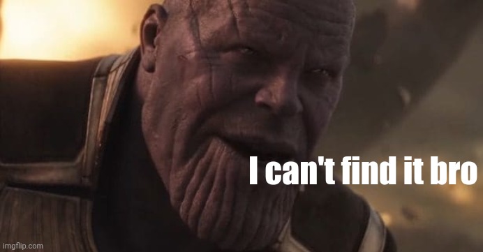 Thanos "All that for a drop of blood" | I can't find it bro | image tagged in thanos all that for a drop of blood | made w/ Imgflip meme maker
