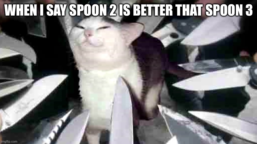 I don’t know why but splatoon 2 is more fun for me | WHEN I SAY SPOON 2 IS BETTER THAT SPOON 3 | image tagged in cat with knifes pointing at it | made w/ Imgflip meme maker