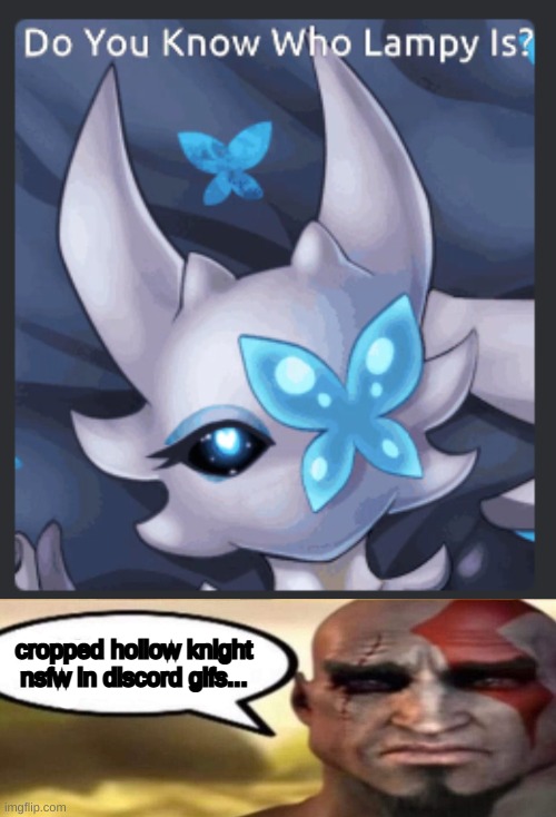 they are BUGS for christ's sake | cropped hollow knight nsfw in discord gifs... | made w/ Imgflip meme maker