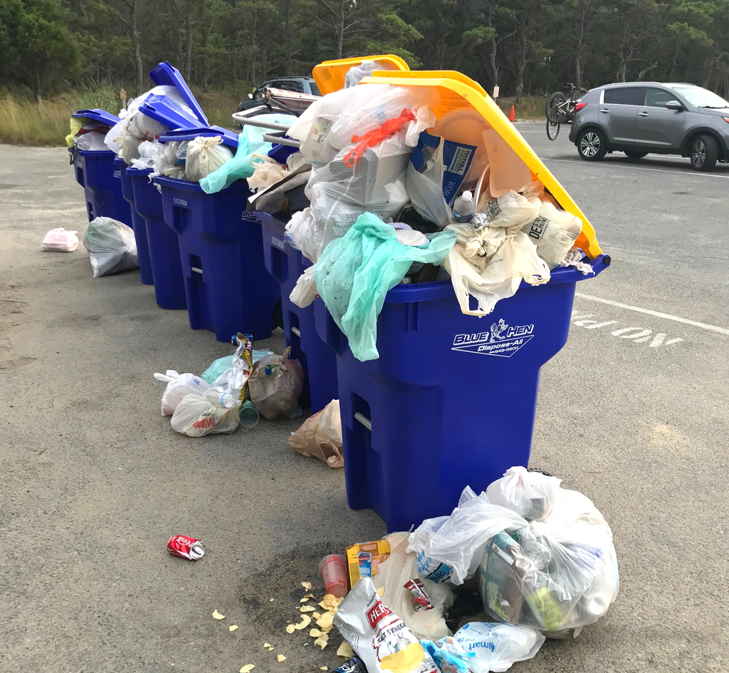 Trash Blank Meme Template