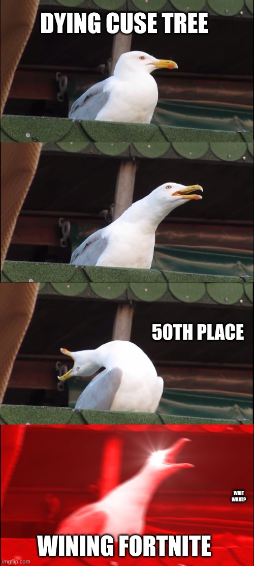Inhaling Seagull | DYING CUSE TREE; 50TH PLACE; WAIT WHAT? WINING FORTNITE | image tagged in memes,inhaling seagull | made w/ Imgflip meme maker