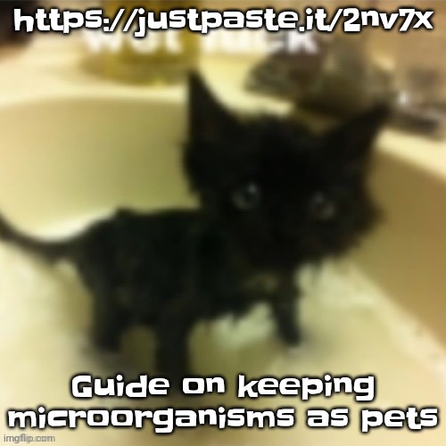 :3 | https://justpaste.it/2nv7x; Guide on keeping microorganisms as pets | made w/ Imgflip meme maker