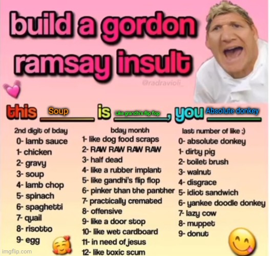 Gordon Ramsey insult | Soup; Absolute donkey; Like grandhi's flip flop | image tagged in gordon ramsey insult | made w/ Imgflip meme maker