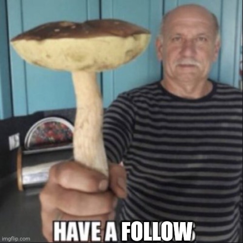 have a fungus | FOLLOW | image tagged in have a fungus | made w/ Imgflip meme maker