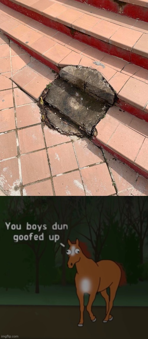 On the steps | image tagged in you boys dun goofed up,manhole,steps,step,you had one job,memex | made w/ Imgflip meme maker