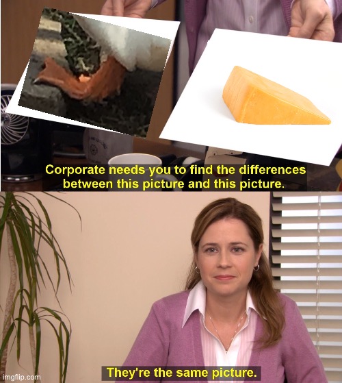 Cheeze feets | image tagged in memes,they're the same picture | made w/ Imgflip meme maker