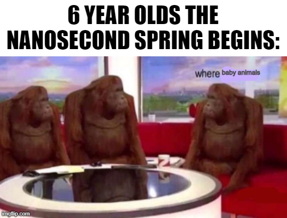 Isn't this the most common thing in Spring? | 6 YEAR OLDS THE NANOSECOND SPRING BEGINS:; baby animals | image tagged in where banana blank,where monkey,spring,memes | made w/ Imgflip meme maker