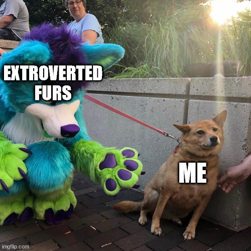 *audible fear* | EXTROVERTED FURS; ME | image tagged in dog afraid of furry | made w/ Imgflip meme maker