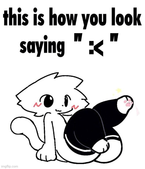this is how you look saying ":3" | " :< " | image tagged in this is how you look saying 3 | made w/ Imgflip meme maker