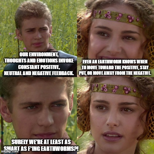 Earthworm Intelligence | OUR ENVIRONMENT, THOUGHTS AND EMOTIONS INVOKE CONSTANT POSITIVE, NEUTRAL AND NEGATIVE FEEDBACK. EVEN AN EARTHWORM KNOWS WHEN TO MOVE TOWARD THE POSITIVE, STAY PUT, OR MOVE AWAY FROM THE NEGATIVE. SURELY WE'RE AT LEAST AS SMART AS F*ING EARTHWORMS?! | image tagged in anakin padme 4 panel | made w/ Imgflip meme maker