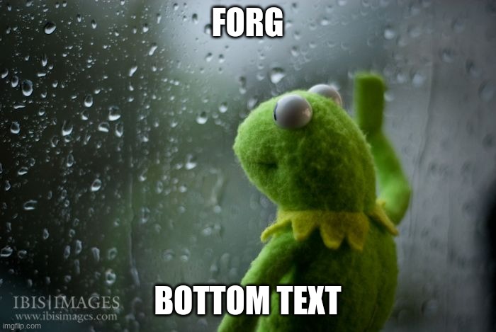 FORG BOTTOM TEXT | image tagged in kermit window | made w/ Imgflip meme maker