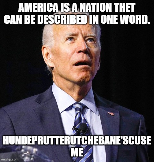 Joe Biden | AMERICA IS A NATION THET CAN BE DESCRIBED IN ONE WORD. HUNDEPRUTTERUTCHEBANE'SCUSE ME | image tagged in joe biden | made w/ Imgflip meme maker