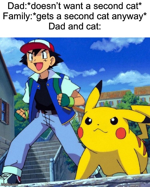 ash and pikachu | Dad:*doesn’t want a second cat*
Family:*gets a second cat anyway*
Dad and cat: | image tagged in ash and pikachu,dad and cat | made w/ Imgflip meme maker