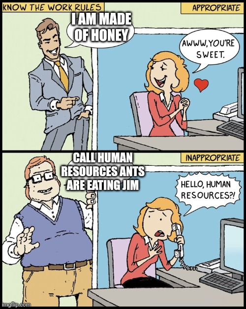 Know The Work Rules | I AM MADE OF HONEY; CALL HUMAN RESOURCES ANTS ARE EATING JIM | made w/ Imgflip meme maker