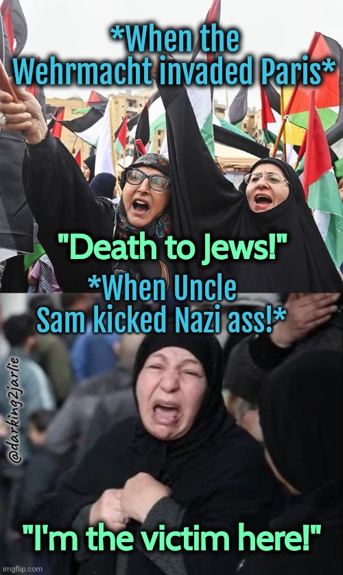 Victimhood weekly meme #2 | *When the Wehrmacht invaded Paris*; "Death to Jews!"; *When Uncle Sam kicked Nazi ass!*; @darking2jarlie; "I'm the victim here!" | image tagged in israel,palestine,jews,nazi,fascist,muslim | made w/ Imgflip meme maker