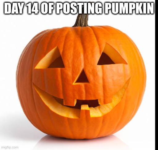 pumpkin day 14 | DAY 14 OF POSTING PUMPKIN | image tagged in pumkin | made w/ Imgflip meme maker