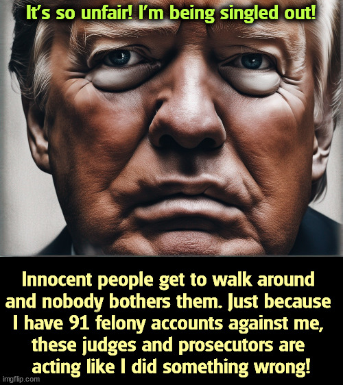 He doesn't get it. | It's so unfair! I'm being singled out! Innocent people get to walk around 
and nobody bothers them. Just because 

I have 91 felony accounts against me, 
these judges and prosecutors are 
acting like I did something wrong! | image tagged in trump,crime,criminal,felony,judge,prosecutor | made w/ Imgflip meme maker