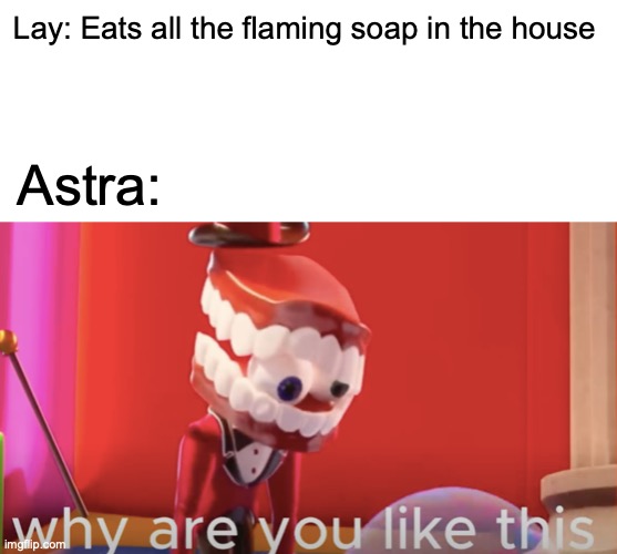 Lay: Eats all the flaming soap in the house; Astra: | image tagged in caine why are you like this | made w/ Imgflip meme maker