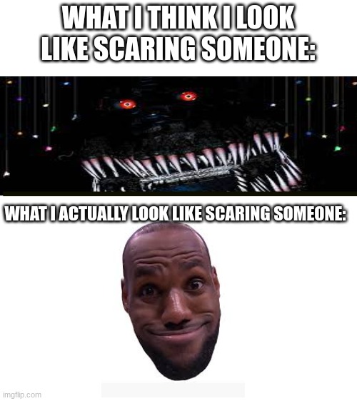 WHAT I THINK I LOOK LIKE SCARING SOMEONE:; WHAT I ACTUALLY LOOK LIKE SCARING SOMEONE: | image tagged in meme,memes,so true memes,relatable memes,relatable,relatable meme | made w/ Imgflip meme maker