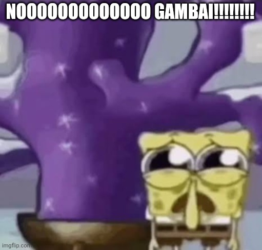Zad Spunchbop | NOOOOOOOOOOOOO GAMBAI!!!!!!!! | image tagged in zad spunchbop | made w/ Imgflip meme maker