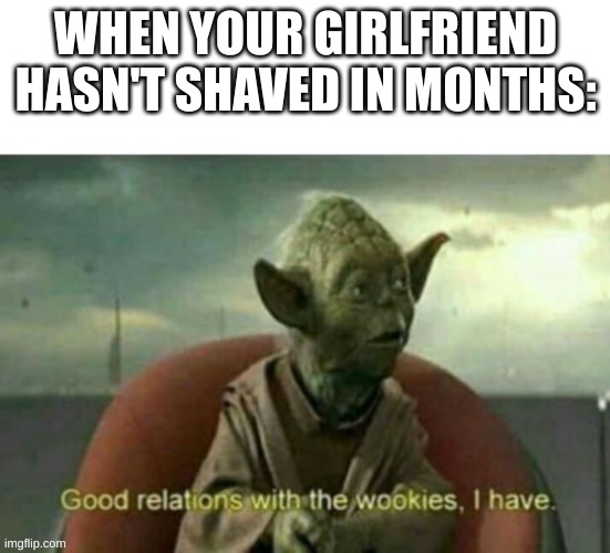 Good relationships with the wookies, i have | WHEN YOUR GIRLFRIEND HASN'T SHAVED IN MONTHS: | image tagged in good relationships with the wookies i have,fun,star wars,funny | made w/ Imgflip meme maker