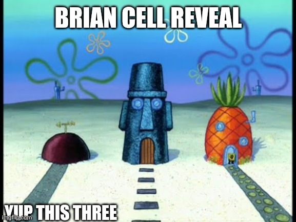 Spongebob Patrick and Squidward's house | BRIAN CELL REVEAL; YUP THIS THREE | image tagged in spongebob patrick and squidward's house | made w/ Imgflip meme maker