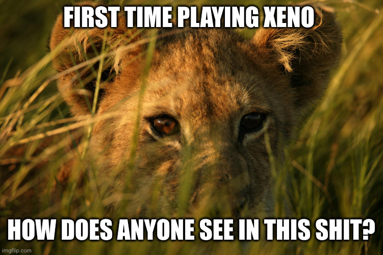 FIRST TIME PLAYING XENO; HOW DOES ANYONE SEE IN THIS SHIT? | made w/ Imgflip meme maker