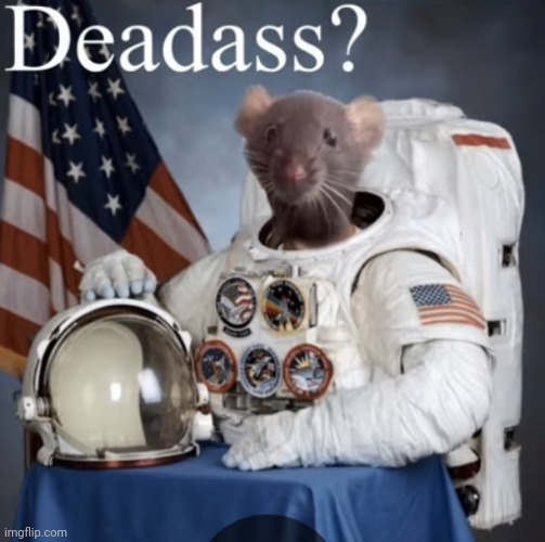 Deadass? | image tagged in deadass | made w/ Imgflip meme maker
