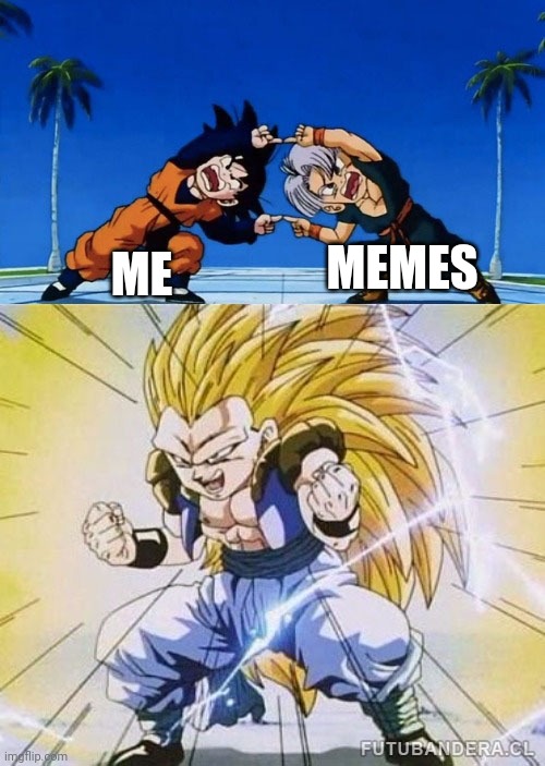 DBZ FUSION | MEMES; ME | image tagged in dbz fusion | made w/ Imgflip meme maker