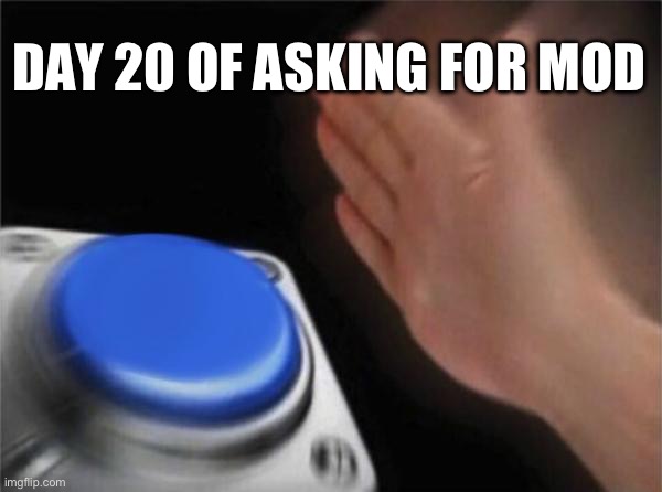 *owner | DAY 20 OF ASKING FOR MOD | image tagged in memes,blank nut button | made w/ Imgflip meme maker