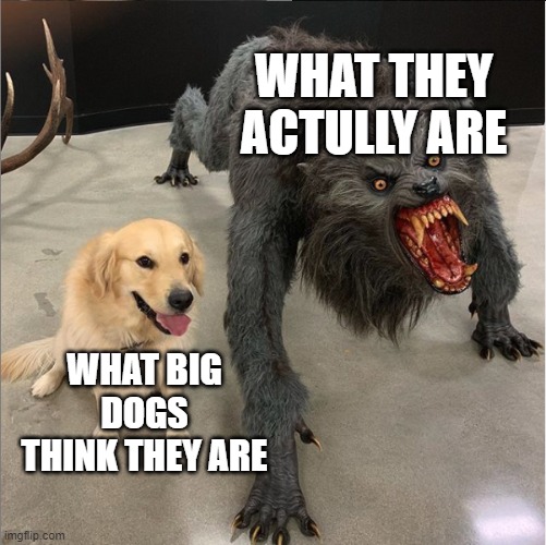 big dogs | WHAT THEY ACTULLY ARE; WHAT BIG DOGS THINK THEY ARE | image tagged in dog vs werewolf | made w/ Imgflip meme maker