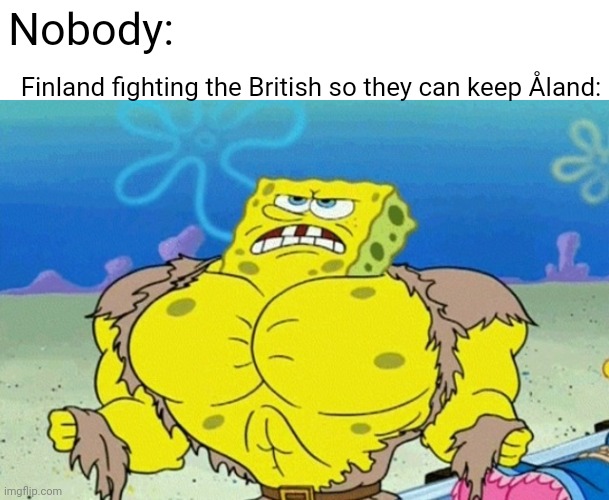 Fr, Åland is small, Bri'ish came with 500 battleships and lost to Finnish. We hav song about it | Nobody:; Finland fighting the British so they can keep Åland: | image tagged in buff spongebob | made w/ Imgflip meme maker