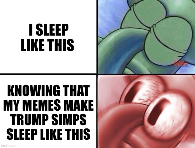 They always let me know in the comments how much I hurt their feelings :D | I SLEEP LIKE THIS; KNOWING THAT MY MEMES MAKE TRUMP SIMPS SLEEP LIKE THIS | image tagged in sleeping squidward,scumbag republicans,terrorists,trailer trash,conservative hypocrisy,pedophiles | made w/ Imgflip meme maker