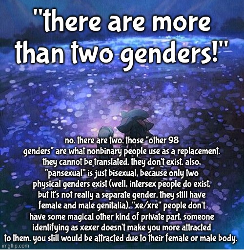 "biromantic" is for the mfs that dont feel any *sexual* attraction to speak of, btw | "there are more than two genders!"; no. there are two. those "other 98 genders" are what nonbinary people use as a replacement. they cannot be translated. they don't exist. also, "pansexual" is just bisexual, because only two physical genders exist (well, intersex people do exist, but it's not really a separate gender. they still have female and male genitalia). "xe/xre" people don't have some magical other kind of private part. someone identifying as xexer doesn't make you more attracted to them. you still would be attracted due to their female or male body. | image tagged in shadow and maria in a field | made w/ Imgflip meme maker