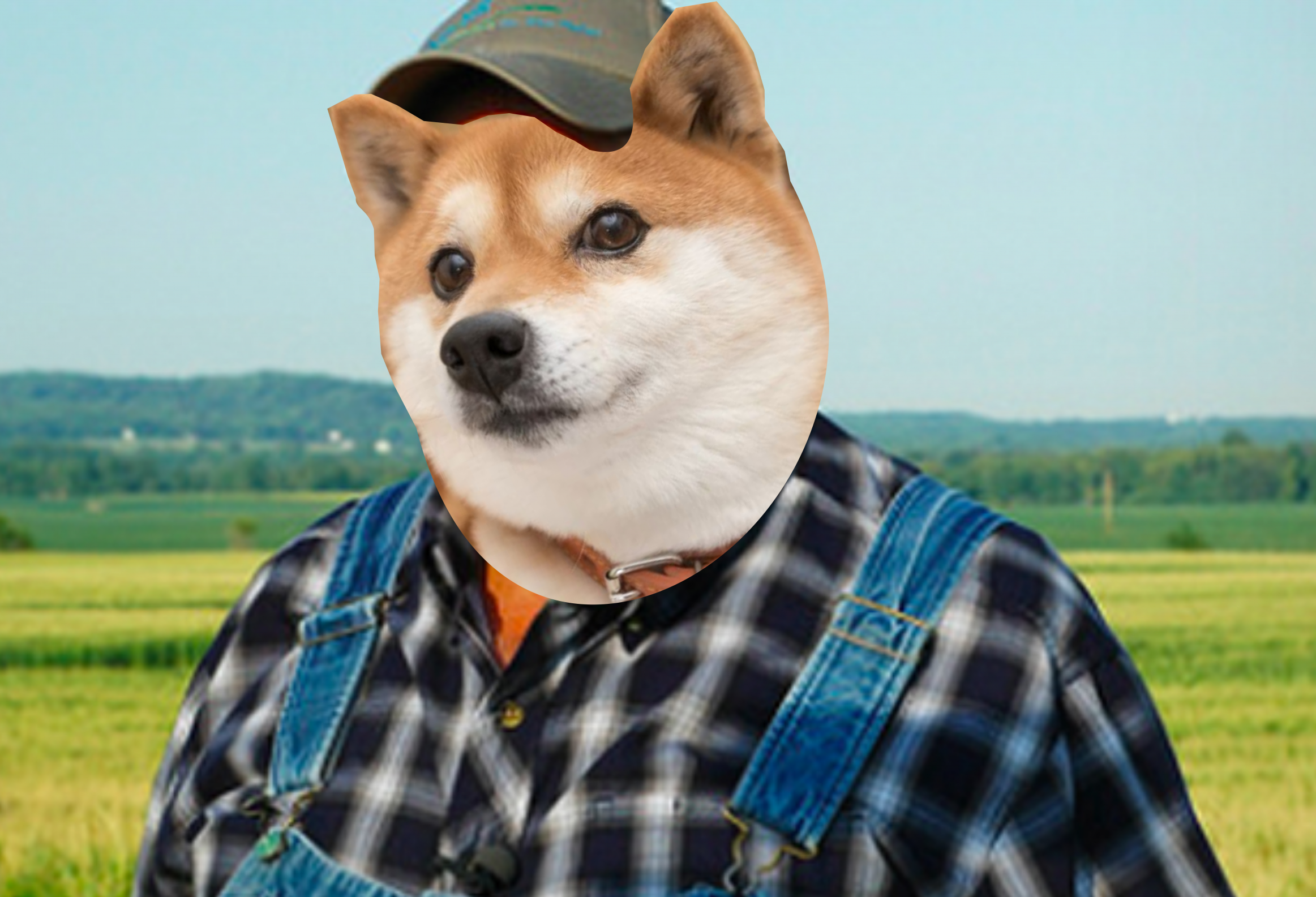 it ain't much but it's honest boost Blank Meme Template