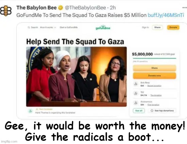 Money well spent... | Gee, it would be worth the money!
Give the radicals a boot... | image tagged in politics,the squad,radical,go fund them,political humor,satire | made w/ Imgflip meme maker