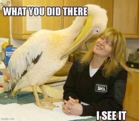 I See What You Did | image tagged in repost | made w/ Imgflip meme maker