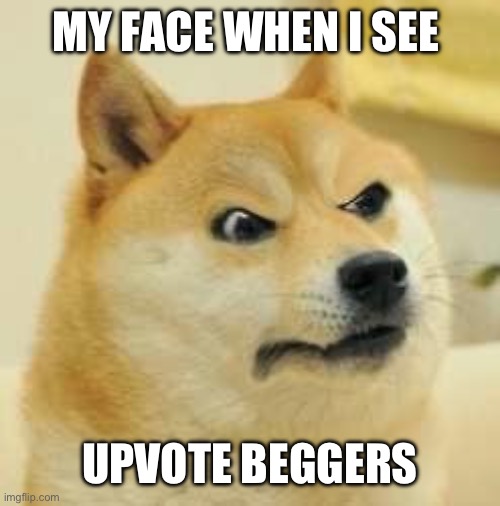 angry doge | MY FACE WHEN I SEE; UPVOTE BEGGARS | image tagged in angry doge | made w/ Imgflip meme maker