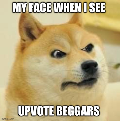 So annoying | MY FACE WHEN I SEE; UPVOTE BEGGARS | image tagged in angry doge | made w/ Imgflip meme maker