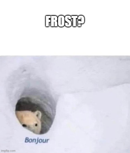 Bonjour | FROST? | image tagged in bonjour | made w/ Imgflip meme maker