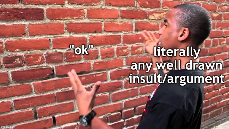Man talking to wall | "ok"; literally any well drawn insult/argument | image tagged in man talking to wall | made w/ Imgflip meme maker