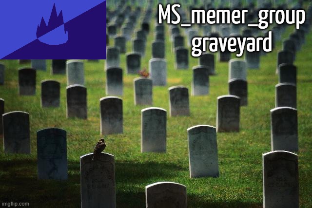 In the comments. (you can help by adding inactive users that aren't there.) | MS_memer_group graveyard | image tagged in graveyard cemetary | made w/ Imgflip meme maker